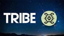 TRIBE 2017 Aftermovie