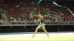 Cindy Lu - Ribbon (AA Finals) - 2014 USA Gymnastics Championships