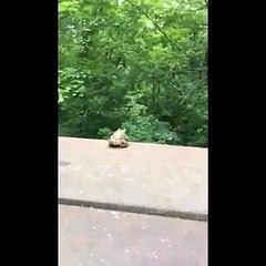 This is what depression does to you. (with music)