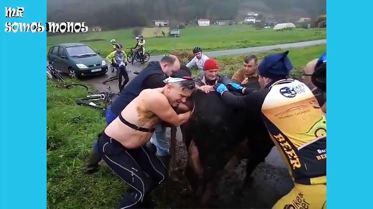 VIRALES Y FAILS MAS VISTOS DE LA CUARTA SEMANA DE SEPTIEMBRE 2017 nuevo