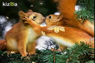 Je vous souhaite un très bel Automne