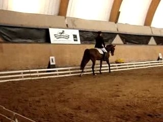 Saumur 2007 Championnat C Petite Finale C1