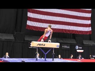 Allan Bower - Pommel Horse - 2014 P&G Championships - Sr. Men Day 2