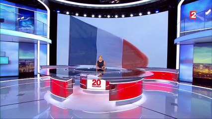 Débat : doit-on vendre nos fleurons industriels ?