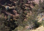 El cadáver de un un hombre fue encontrado al norte de Quito