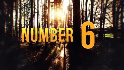 9 Recent Sightings of Cryptids