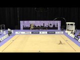 Jazzy Kerber - Ribbon - 2014 World Rhythmic Gymnastics Championships - All-Around Final
