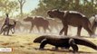 Scientists Say Giant Wombat-Like Prehistoric Creatures Made Annual Migration