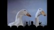 MST3K: Village Of The Giants - The Food Of The Ducks