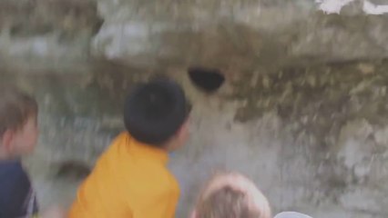 Il met la main dans un trou du mur et regardez ce qu'il en sort... Millier d'araignées