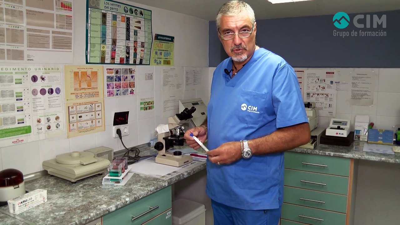 CIM Formación - Preparaciones en fresco, colorantes y tinciones más usuales