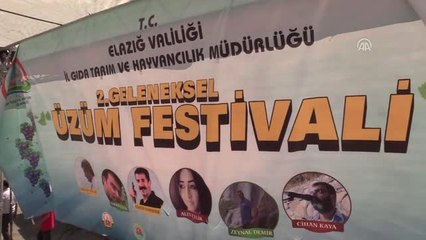 Elazığ'da 2. Geleneksel Üzüm Festivali