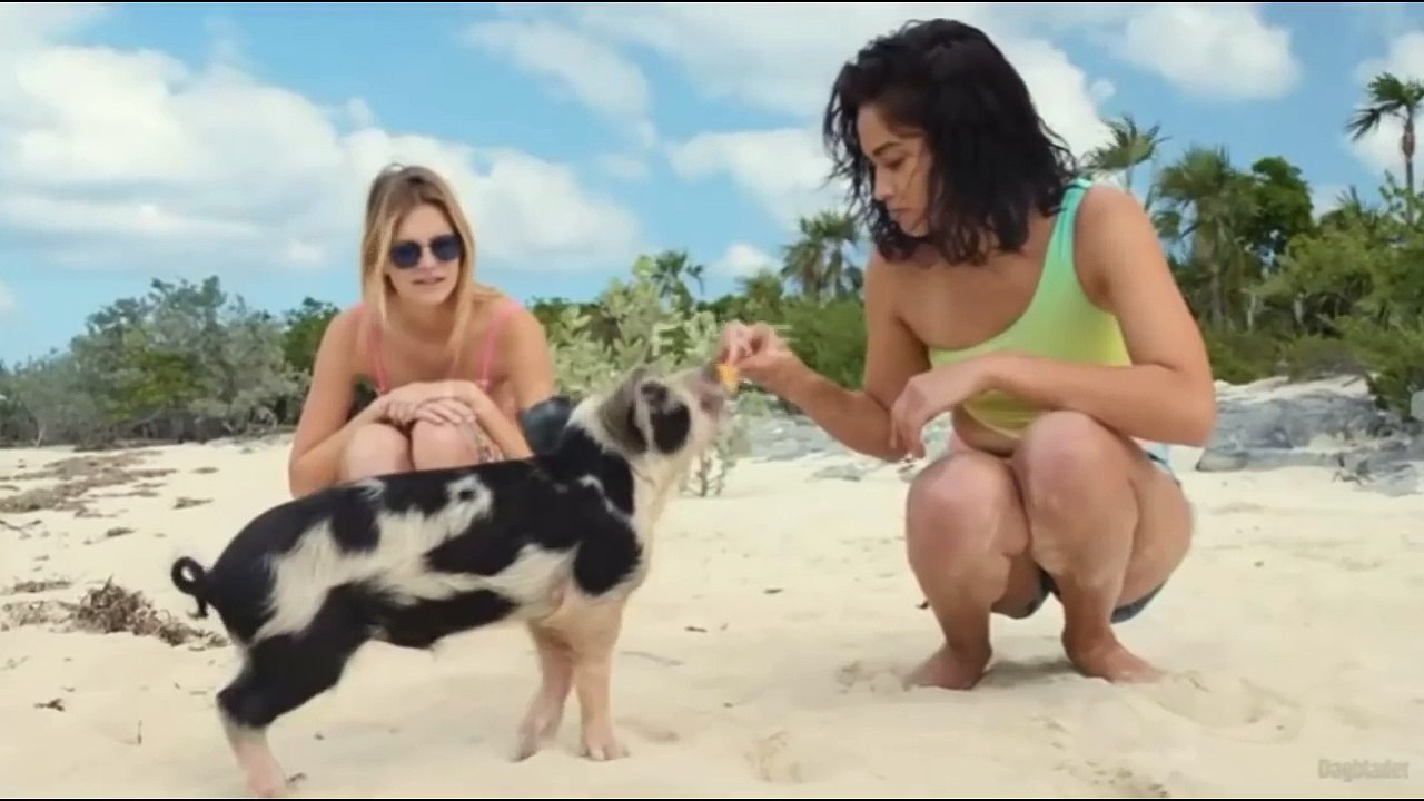 Fyre Festival promo video 2017