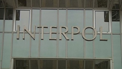 인터폴, 팔레스타인 정식 회원국으로 승인 / YTN