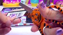 LPS Limited Special Edition Zinnia Gardner Zebra Mail Bobbleheads Littlest Pet Shop Toy Unboxing