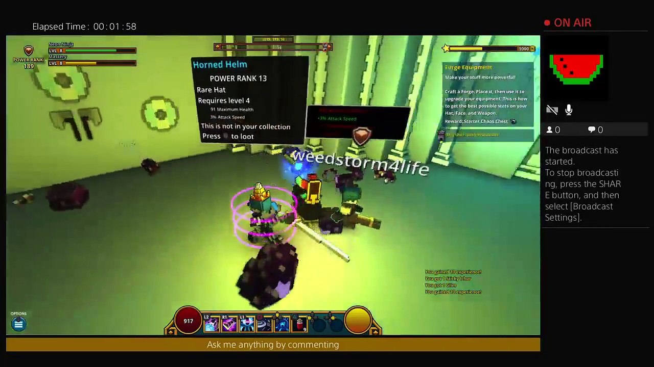 Trove (32)