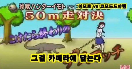 [일본예능][이모토] 잡히면 죽는다 도마뱀과의 달리기 시합