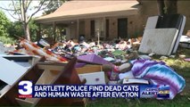 3 Charged with Child Neglect After Dead Cats, Human Waste Found in Home