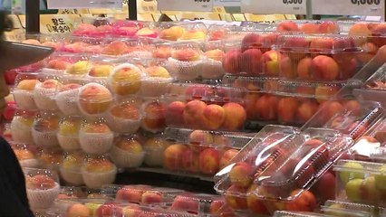 추석 앞두고 물가 2.1%↑...과일값 급등 / YTN