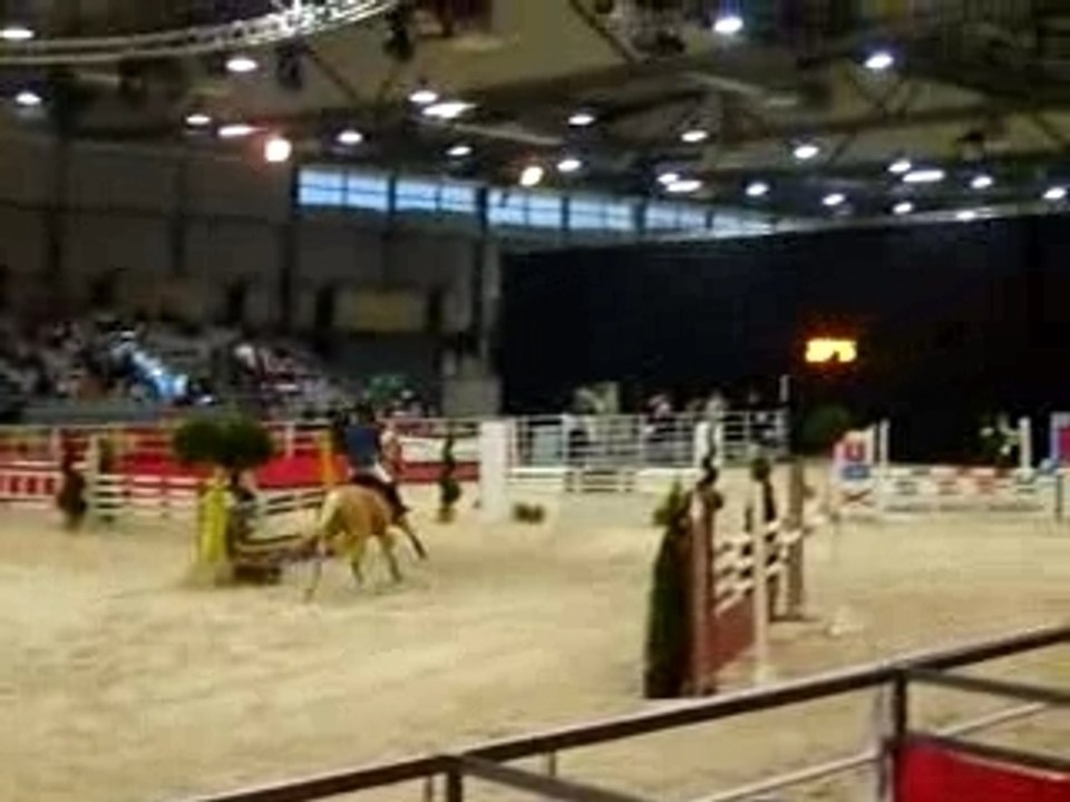 Saut d'obstacle cheval