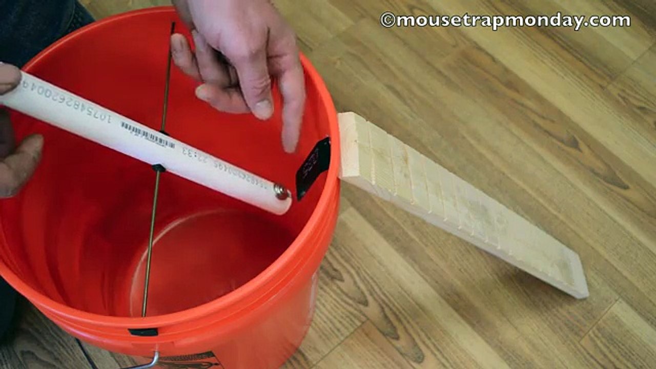Teeter Totter Bucket Mouse Trap In Action with motion cameras