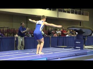Shane Wiskus - Vault - 2015 Winter Cup Prelims