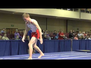 Matthew Wenske - Vault - 2015 Winter Cup Prelims