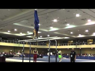 Danell Leyva - Parallel Bars - 2015 Winter Cup Prelims