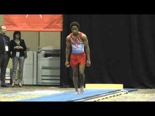 Kyle King - Vault - 2015 Winter Cup Prelims