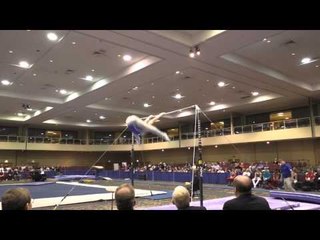 Shane Wiskus – High Bar – 2015 Winter Cup Prelims