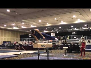 Danell Leyva - Pommel Horse - 2015 Winter Cup Prelims