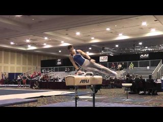 Shane Wiskus - Pommel Horse - 2015 Winter Cup Prelims