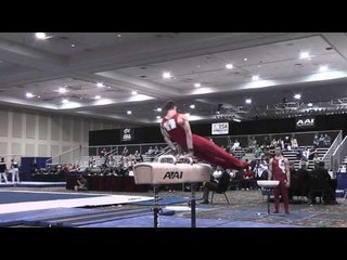 Allan Bower - Pommel Horse - 2015 Winter Cup Prelims
