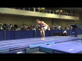 Allan Bower - Vault - 2015 Winter Cup Prelims