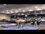 Stacey Ervin - Pommel Horse - 2015 Winter Cup Prelims