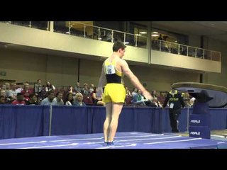 Dmitri Belanovski - Vault - 2015 Winter Cup Prelims