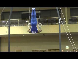 Donnell Whittenburg – Still Rings – 2015 Winter Cup Prelims