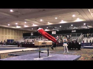 Marvin Kimble - Pommel Horse - 2015 Winter Cup Prelims