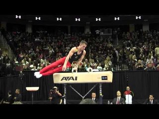 Andreas Bretschneider (GER) - Pommel Horse - 2016 AT&T American Cup