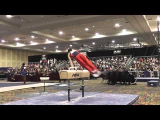 Alec Yoder - Pommel Horse - 2015 Winter Cup Finals