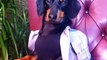 Best Vine Video Compilation by Crusoe Celebrity Dachshund new