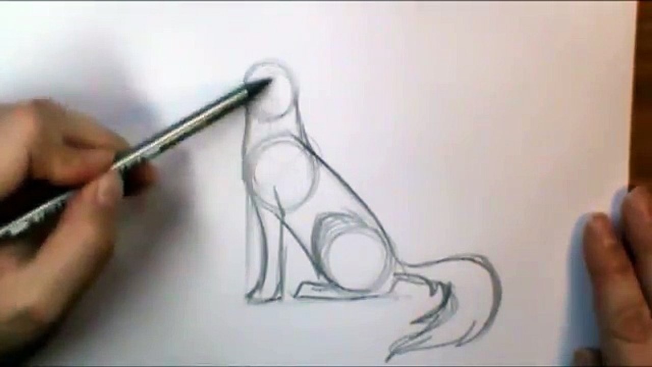 How to draw a Wolf howling