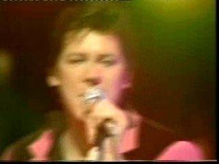 shakin stevens