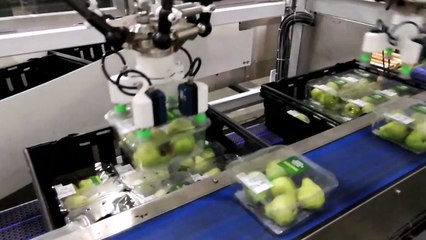 Robotic Pick and Place - Food Packing Machine
