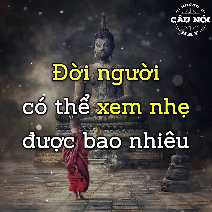 Sống trên đời mà hiểu biết cách đối nhân xử thế... - Những Câu Nói Hay