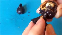 EXPERIMENT Glowing 1000 degree KNIFE vs LPS plastic toy! Whats in the head!?