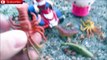 Paw Patrol Ryder ATV Hello Kitty Sea Animals for Children Animal Names Toys Educational Toddlers