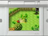 Zelda : Phantom Hourglass sur DS