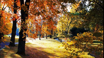 Nhạc Chủ đề Nguyễn Đình Toàn-Mùa Thu Chết