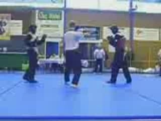 Viet vo dao